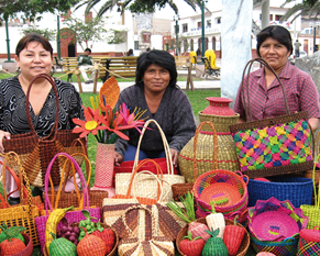 Participación Escolar